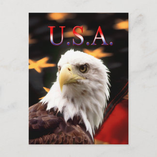 CARTE POSTALE USA