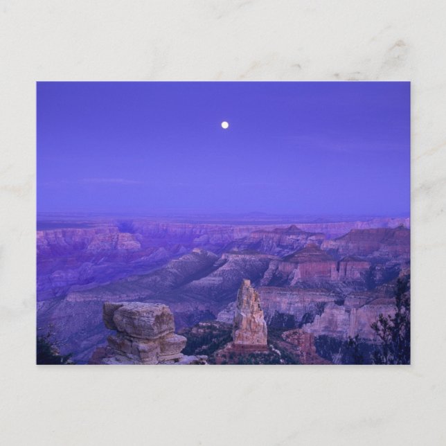 Carte Postale USA, Arizona, Grand Canyon National Park. (Devant)