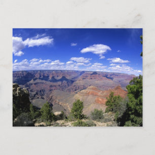 Carte Postale USA, Arizona, Grand Canyon National Park, Sud
