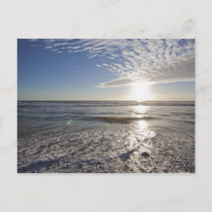 Carte Postale USA, Californie, Los Angeles, paysage marin