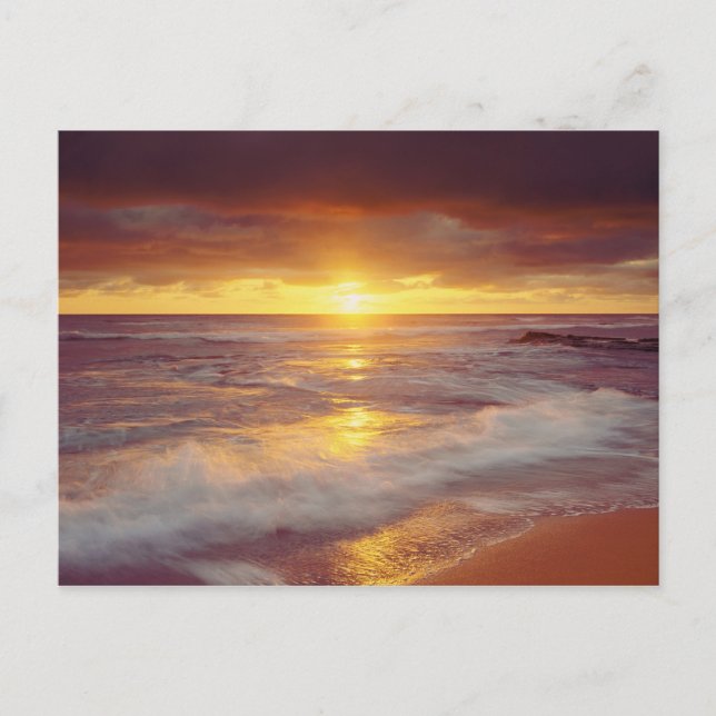 Carte Postale USA, Californie, San Diego. La plage de Sunset Cli (Devant)