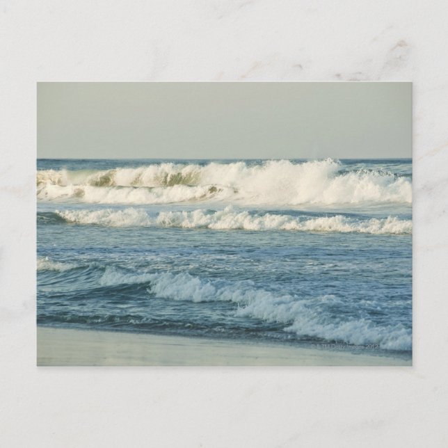 Carte Postale USA, Caroline du Nord, Banques extérieures, Tuer l (Devant)