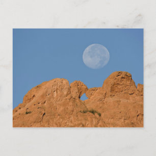 Carte Postale USA, Colorado, Colorado Springs, Jardin des 2