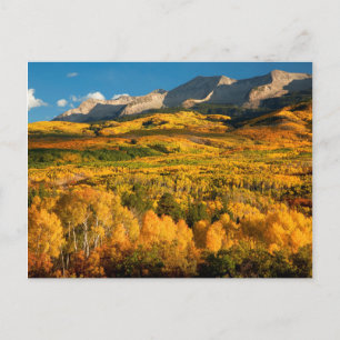 Carte Postale USA, Colorado, Gunnison National Forest