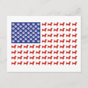 Carte Postale USA Dachshund
