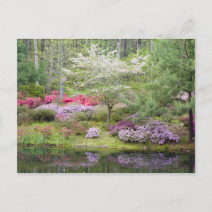 Carte Postale USA, Géorgie, Pine Mountain. Un mélange de