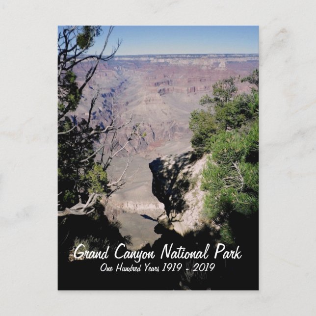 Carte Postale USA, Grand Canyon National Park - 100 ans (Devant)