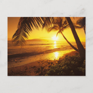 Carte Postale USA, Hawaii, Maui, Coucher de soleil coloré dans u