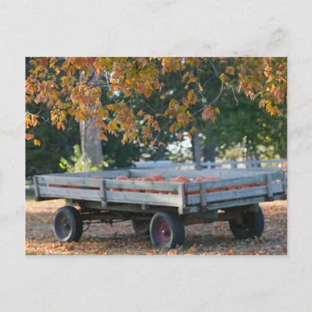 Carte Postale USA, IOWA, Madison County, Winterset: Howell's (Devant)