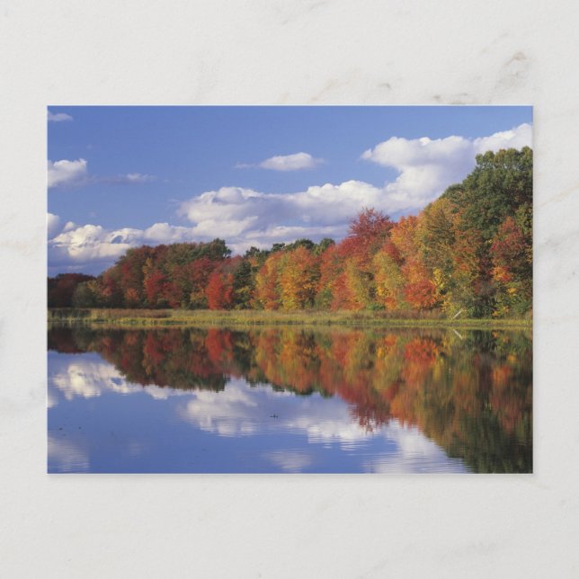 Carte Postale USA, Massachusetts, Acton. Reflection of autumn (Devant)