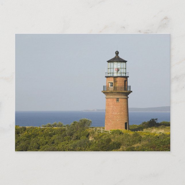 Carte Postale USA, MASSACHUSETTS, Vignoble de Martha : Aquinnah (Devant)