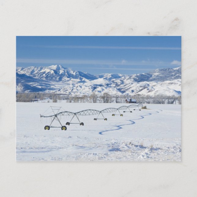 Carte Postale USA, MT, Ferme près de Livingston (Devant)