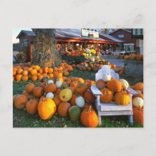 Carte Postale USA, Nouvelle Angleterre, Maine, Wells. Affichage