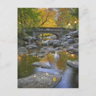 Carte Postale USA, Oregon, Ashland, Lithia Park. Automne