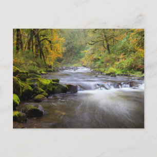 Carte Postale USA, Oregon, Columbia River Gorge, Tanner Creek