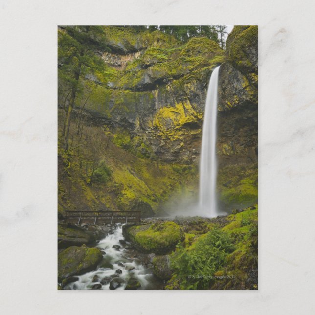 Carte Postale USA, Oregon, comté de Multnomah, Elowah Falls (Devant)