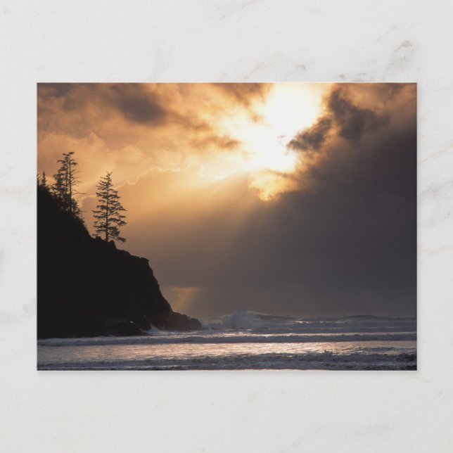 Carte Postale USA, Oregon, près du parc Oswald West State Park,  (Devant)