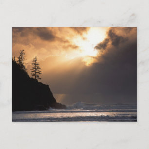 Carte Postale USA, Oregon, près du parc Oswald West State Park,