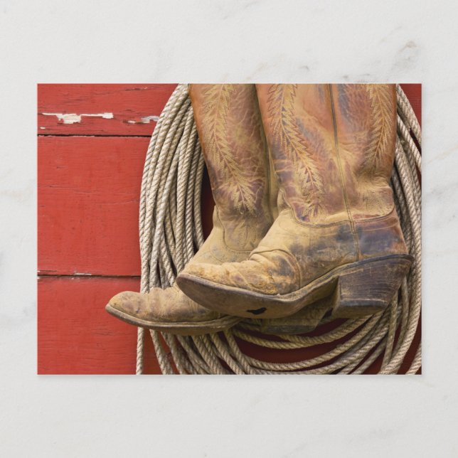 Carte Postale USA, Oregon, Seneca, Ponderosa Ranch. De près (Devant)