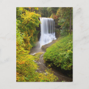 Carte Postale USA, Oregon, Silver Falls State Park 3