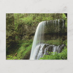 Carte Postale USA, Oregon, Silver Falls State Park. Bas