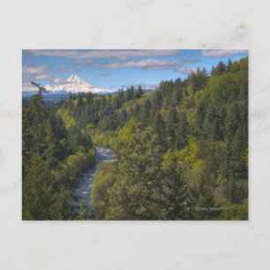 Carte Postale USA, Oregon, Vue en grand angle de Hood River avec