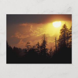 Carte Postale USA, Tennessee, Great Smoky Mountains NP. 2