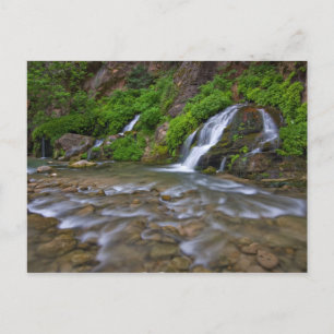 Carte Postale USA, Utah, Zion National Park. Big Springs en