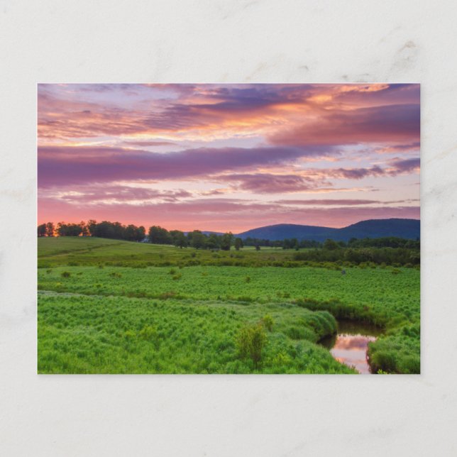 Carte Postale USA, Virginie-Occidentale, Davis. Paysage (Devant)