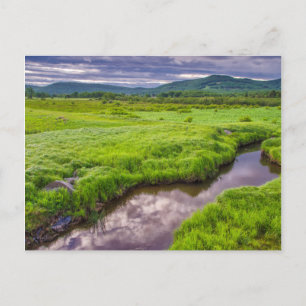 Carte Postale USA, Virginie-Occidentale, Davis. Paysage 2