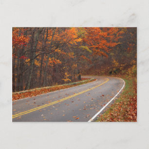 Carte Postale USA, Virginie, Shenandoah National Park, Skyline