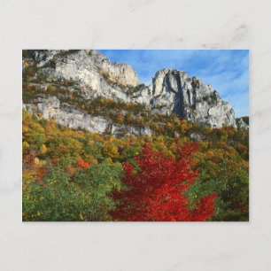 Carte Postale USA, West Virginia, Spruce Knob-Seneca Rocks