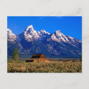 Carte Postale USA, Wyoming, Grand Teton National Park, Matin