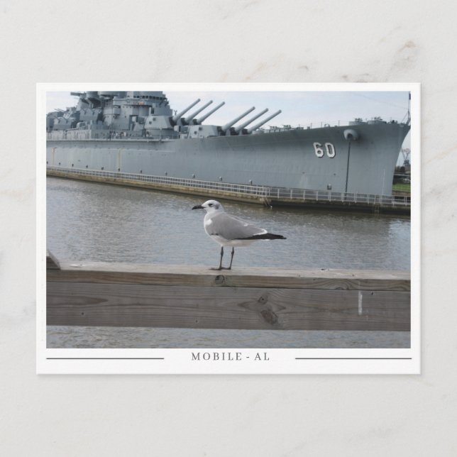 Carte Postale USS Alabama & Seagull – Mobile, AL Souvenir (Devant)