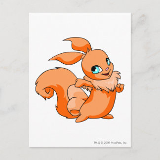 Carte Postale Usul Orange