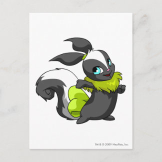 Carte Postale Usul Skunk