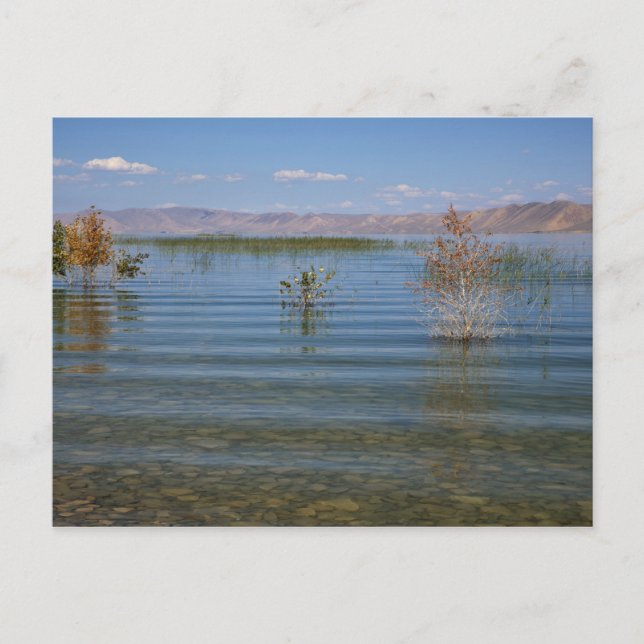 Carte Postale UT, Bear Lake (Devant)