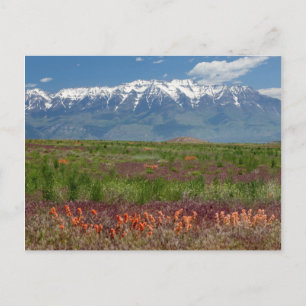 Carte Postale Utah, USA. Le mont Timpanogos s'élève au-dessus