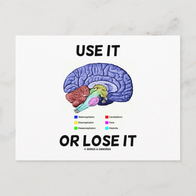 Carte Postale Utilisez-Le Ou Perdez-Le (Humour D'Anatomie Du Cer (Devant)