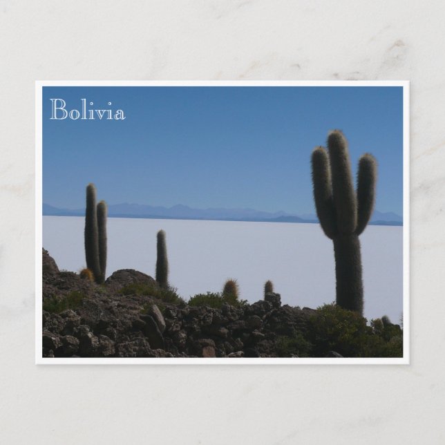 Carte Postale uyuni cactus bolivie (Devant)