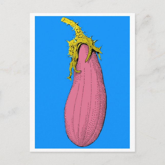 Carte Postale v (Devant)