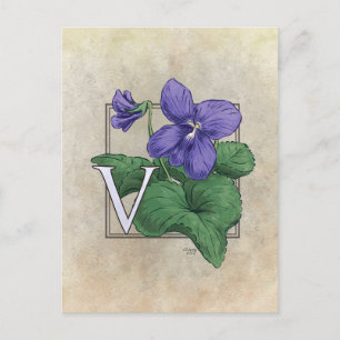Carte Postale V pour violets