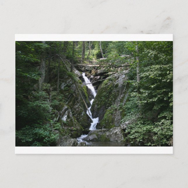 CARTE POSTALE VA DE L'ARBRE DE CRABRE (Devant)