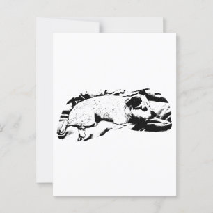 Carte Postale Vacances Bonjour de Bed and Blanket