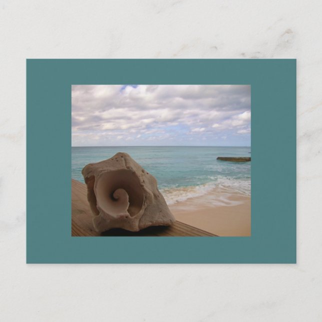 Carte Postale Vacances Plage Seashell (Devant)
