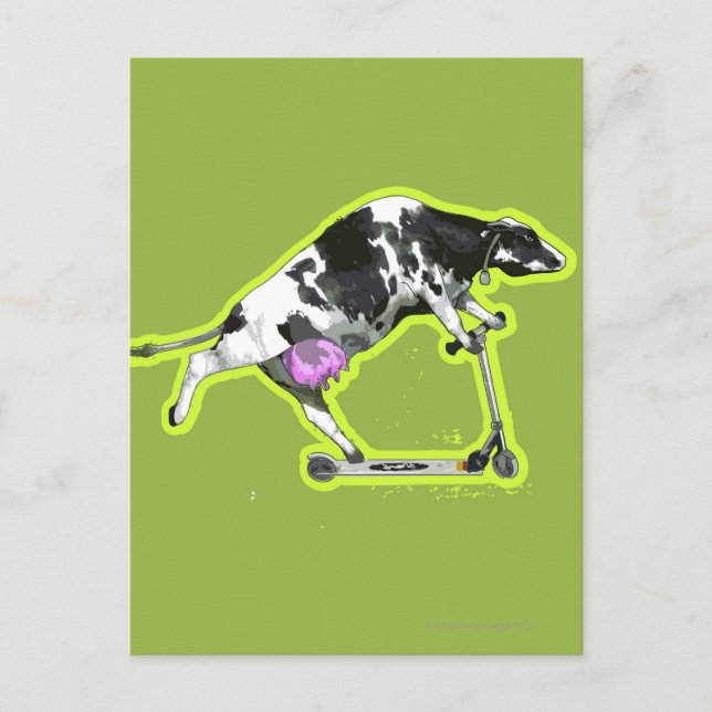 Carte Postale Vache à cheval sur un scooter (Devant)