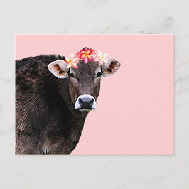 Carte Postale Vache Aloha, Lei, Pink Summer Fun (Devant)