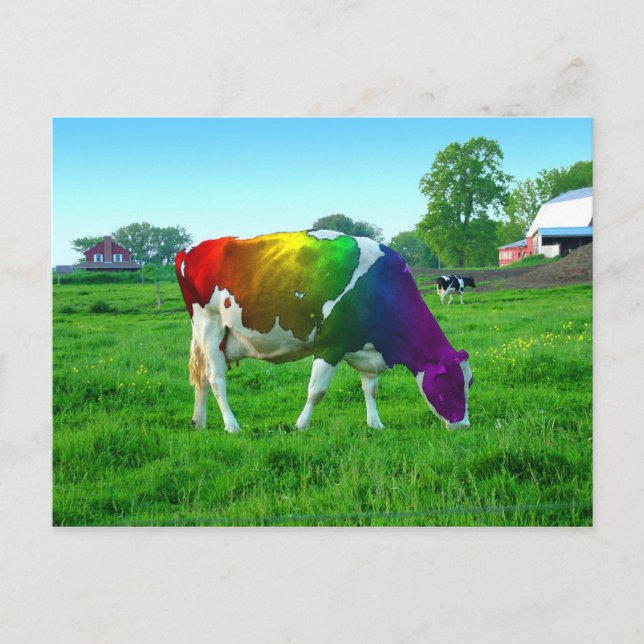 Carte Postale Vache arc-en-ciel (Devant)