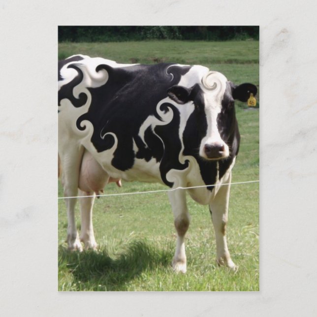 CARTE POSTALE VACHE AVEC DES TOURNOIEMENTS (Devant)