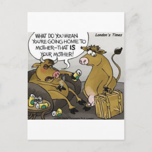 Carte Postale Vache Bull Divorce Drôle Drôle Dons Cartoon Cadeau